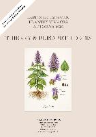 CATALOGUE AUTOMNE 2026