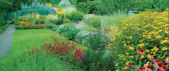 Un jardin dans une 