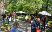 Les premier visiteurs se prsentent