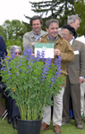 Recommandation dcerne par le Jury de Courson pour baptisia australis